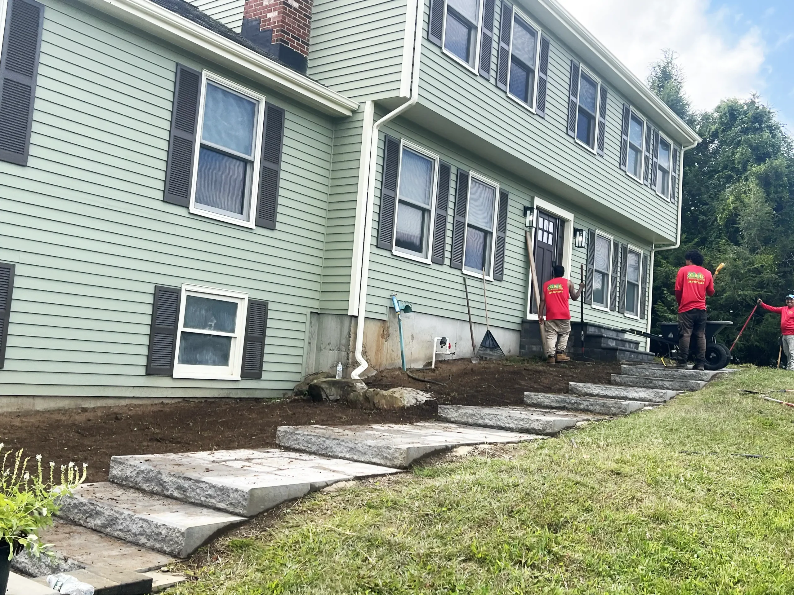 Mulched garden bed with tall evergreen trees and small shrubs between houses, with a light stone patio in the foreground.