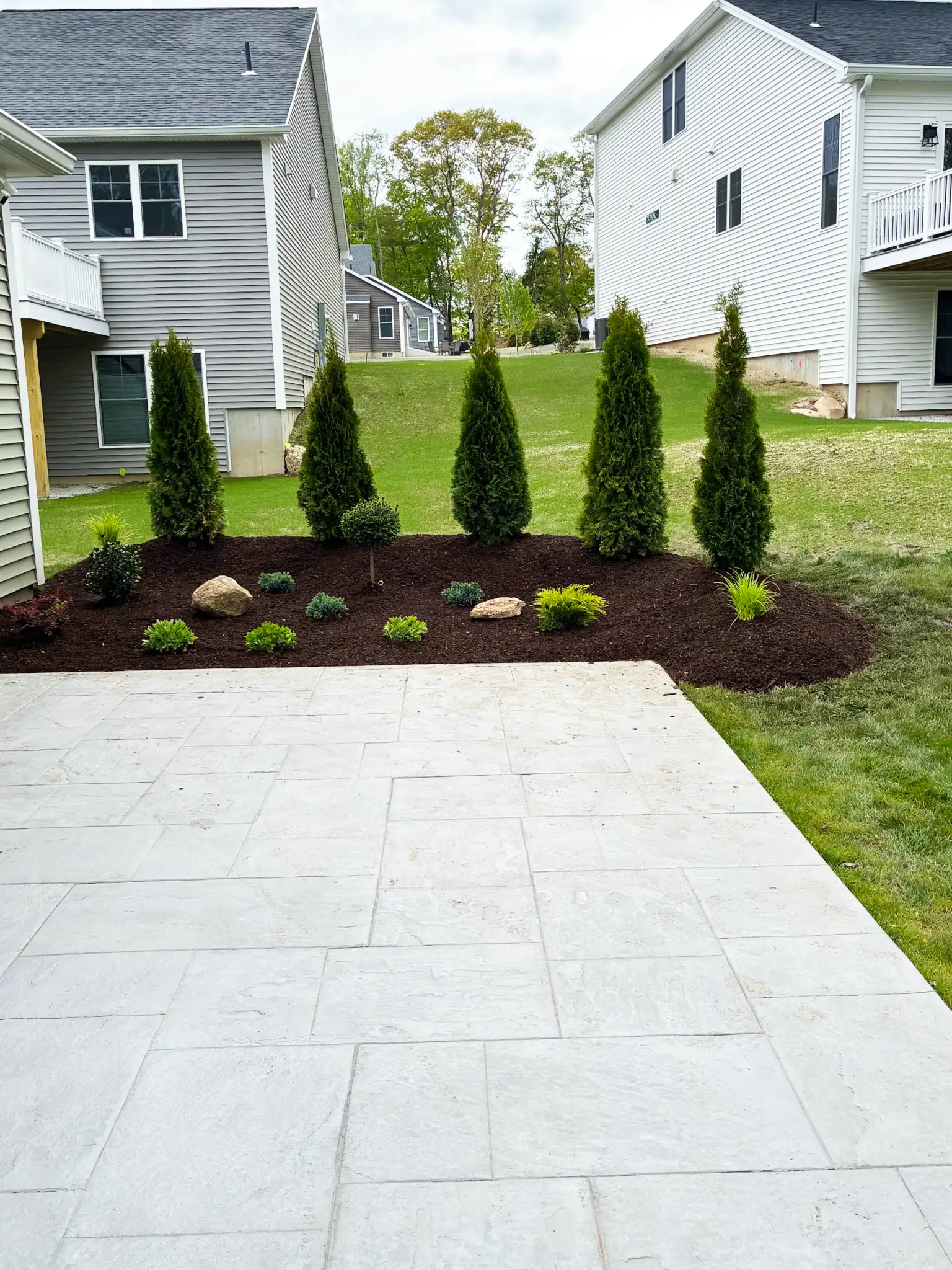 Mulched garden bed with tall evergreen trees and small shrubs between houses, with a light stone patio in the foreground.